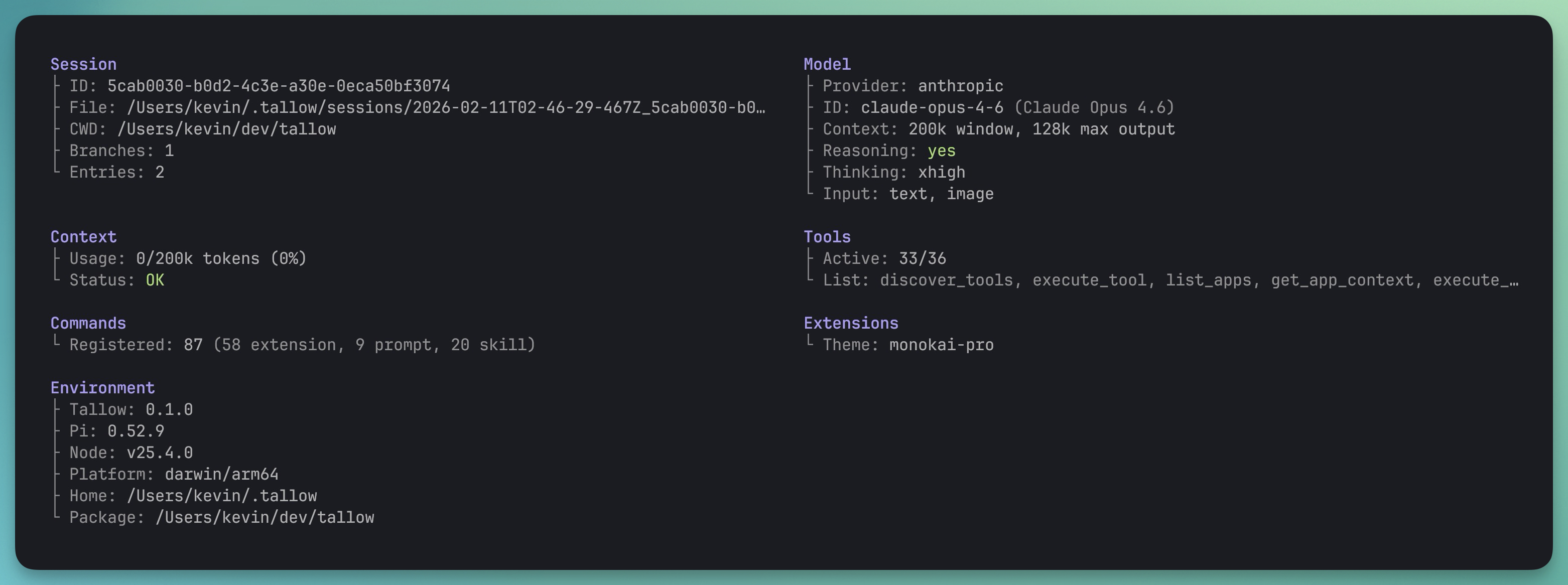 Session health diagnostics showing session, model, context, tools, commands, extensions, and environment sections